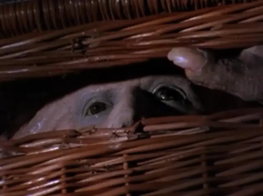 Zdjęcie Najgorsze horrory - top 10 filmów, które rozczarowały widzów