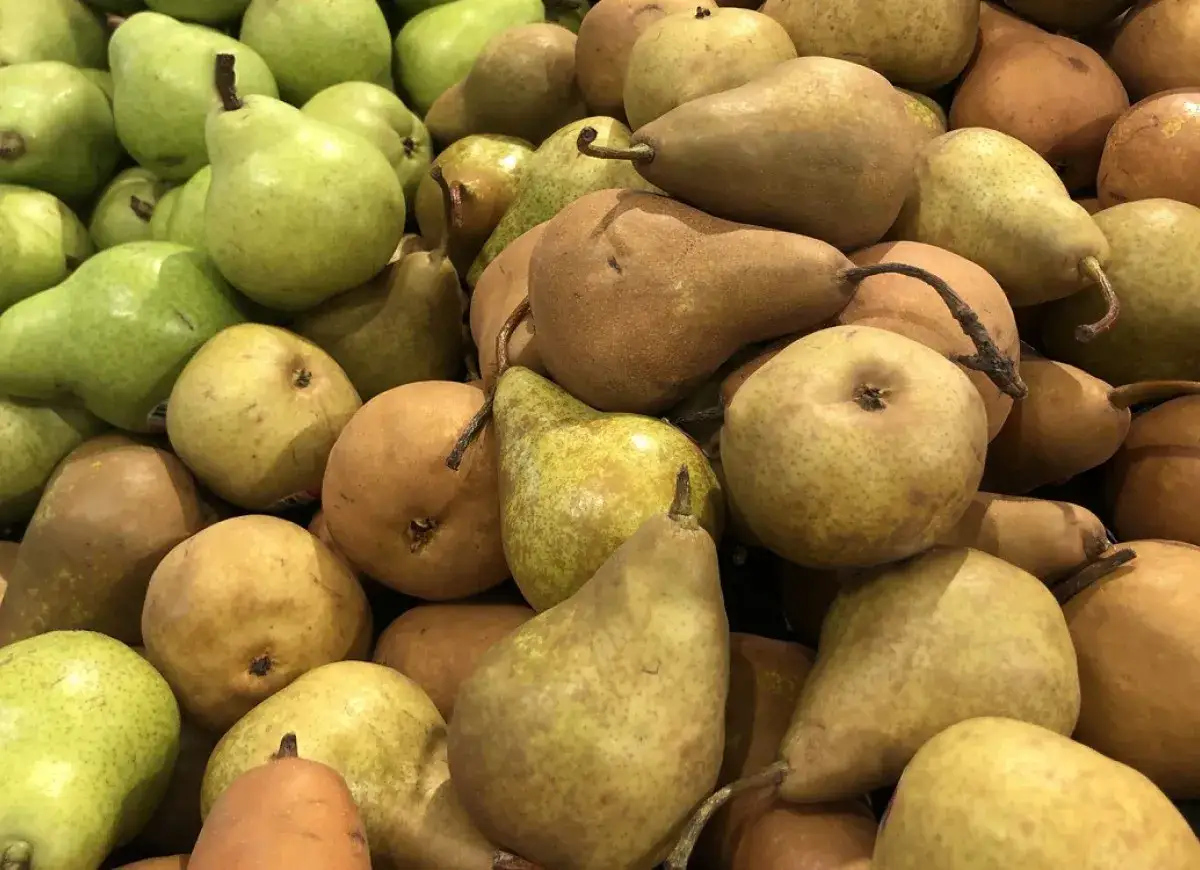 Mnóstwo soczystych gruszek, idealnych do jedzenia na surowo, na kompot lub do pieczenia. Co zrobić z gruszek? Wybór należy do Ciebie!