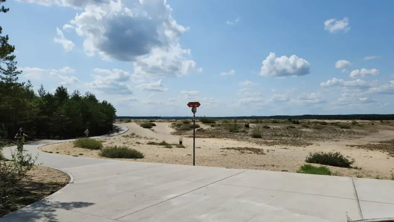 Pustynia Błędowska zaprasza na rowerową przygodę. Kręta trasa rowerowa wije się wśród piasków i zieleni, a drogowskaz wskazuje dalszą drogę.