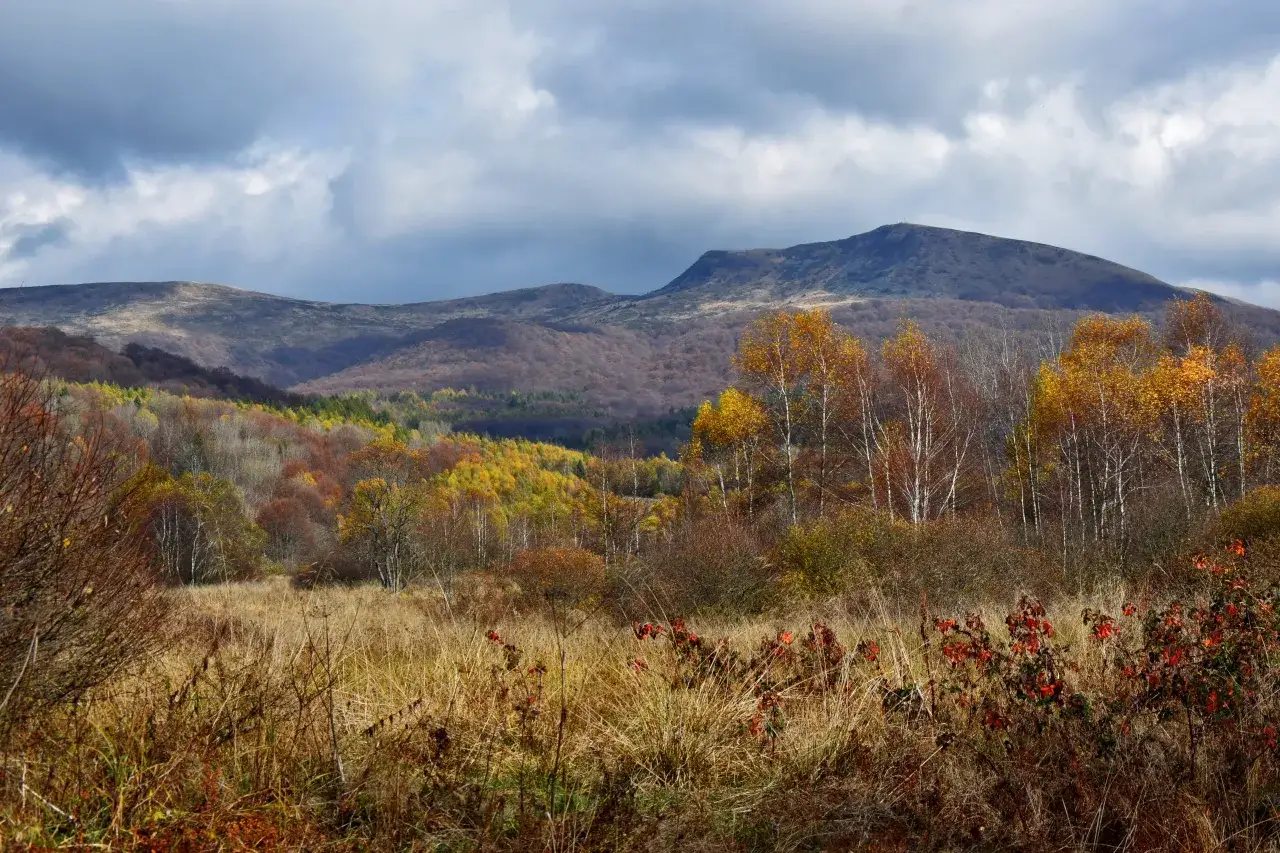 Jesienne barwy g&oacute;r, idealne miejsce na tarnica gdzie nocleg. Chmury nad szczytami, złote liście drzew.