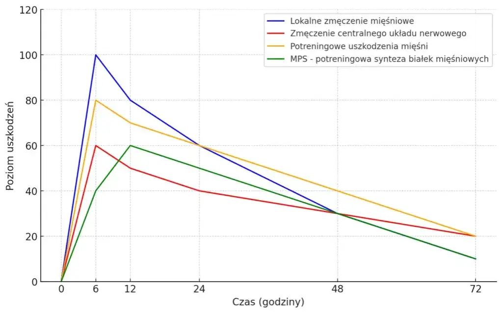 czynniki wpływające na częstotliwość treningów siłowych