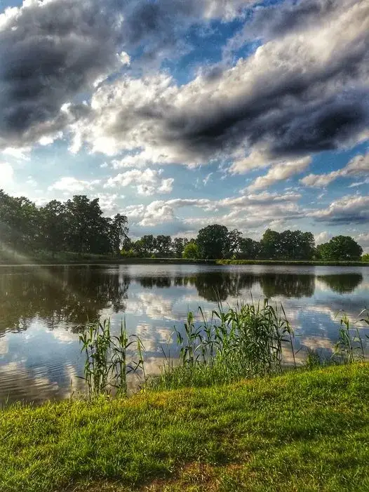 Zdjęcie Najlepsze łowiska na stawach: gdzie złowić ryby i jak się przygotować