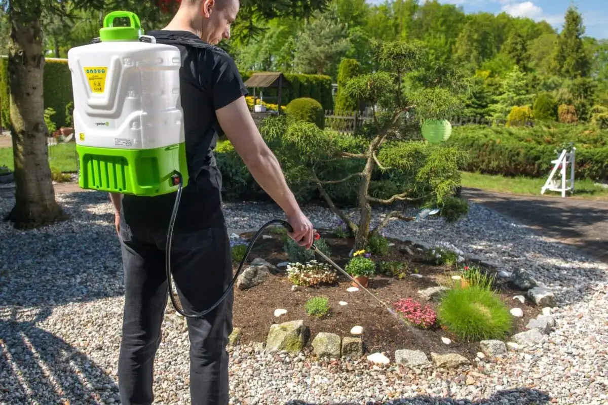 Mężczyzna z plecakowym opryskiwaczem walczy z uciążliwymi chwastami rozłogowymi w ogrodzie, dbając o piękno rabat.