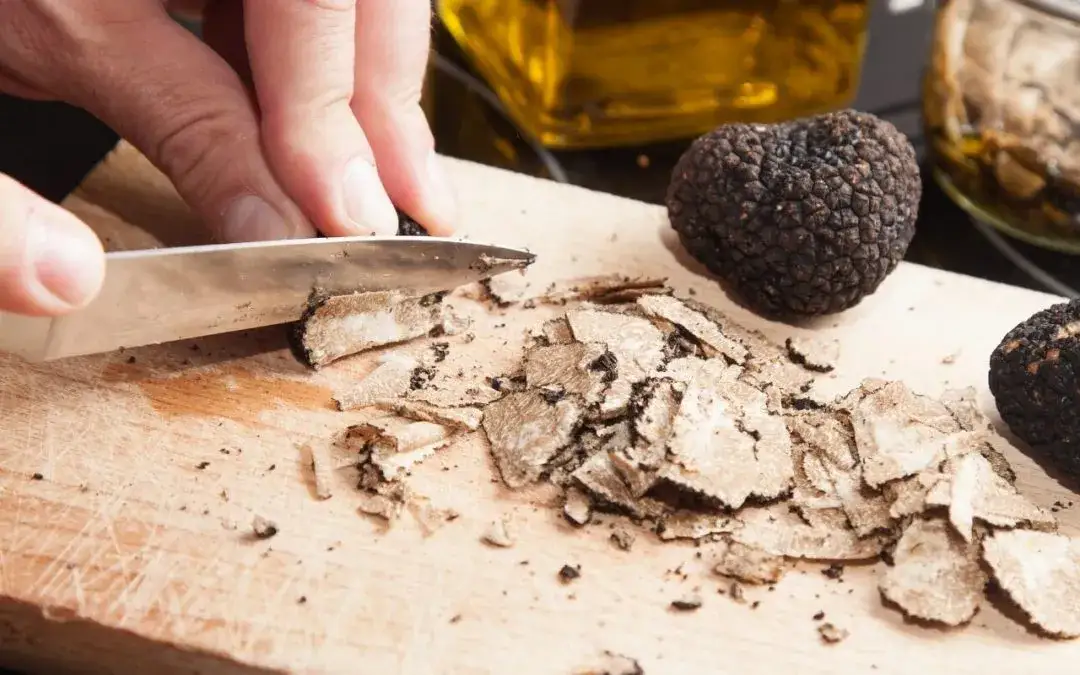 R&oacute;żne gatunki trufli por&oacute;wnanie