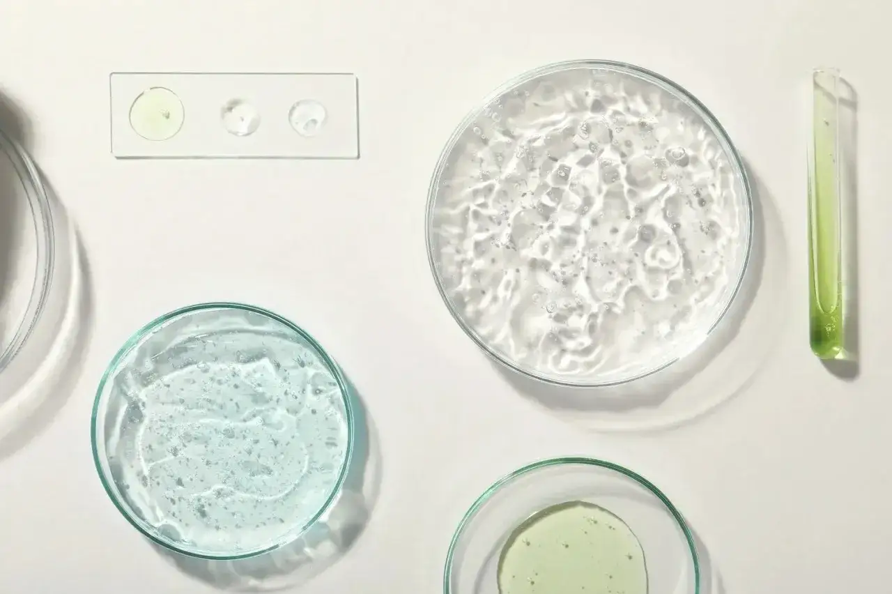 Badania nad pullulanem: pr&oacute;bki w szalkach Petriego i prob&oacute;wce. Co to jest pullulan?