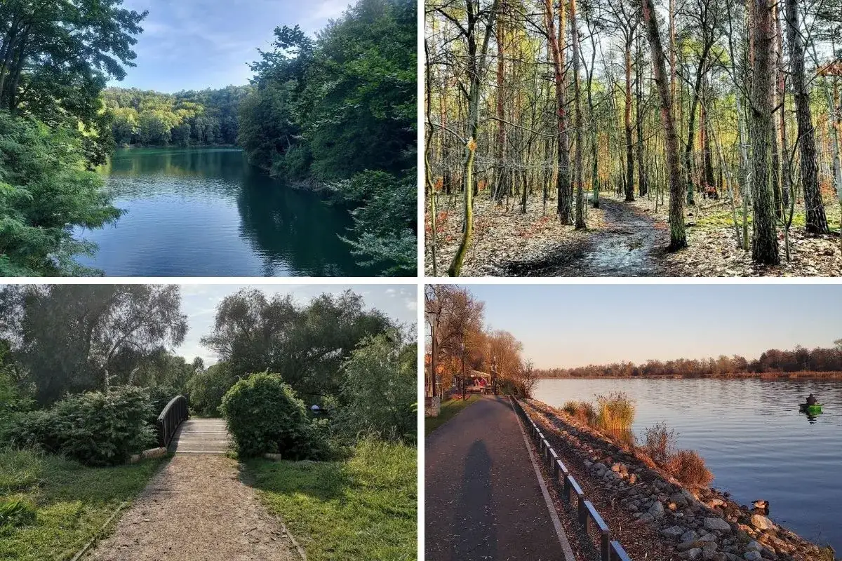 Szczecin oferuje nietypowe atrakcje: malownicze jezioro, jesienny las, urokliwy mostek i widok na rzekę z kajakarzem.