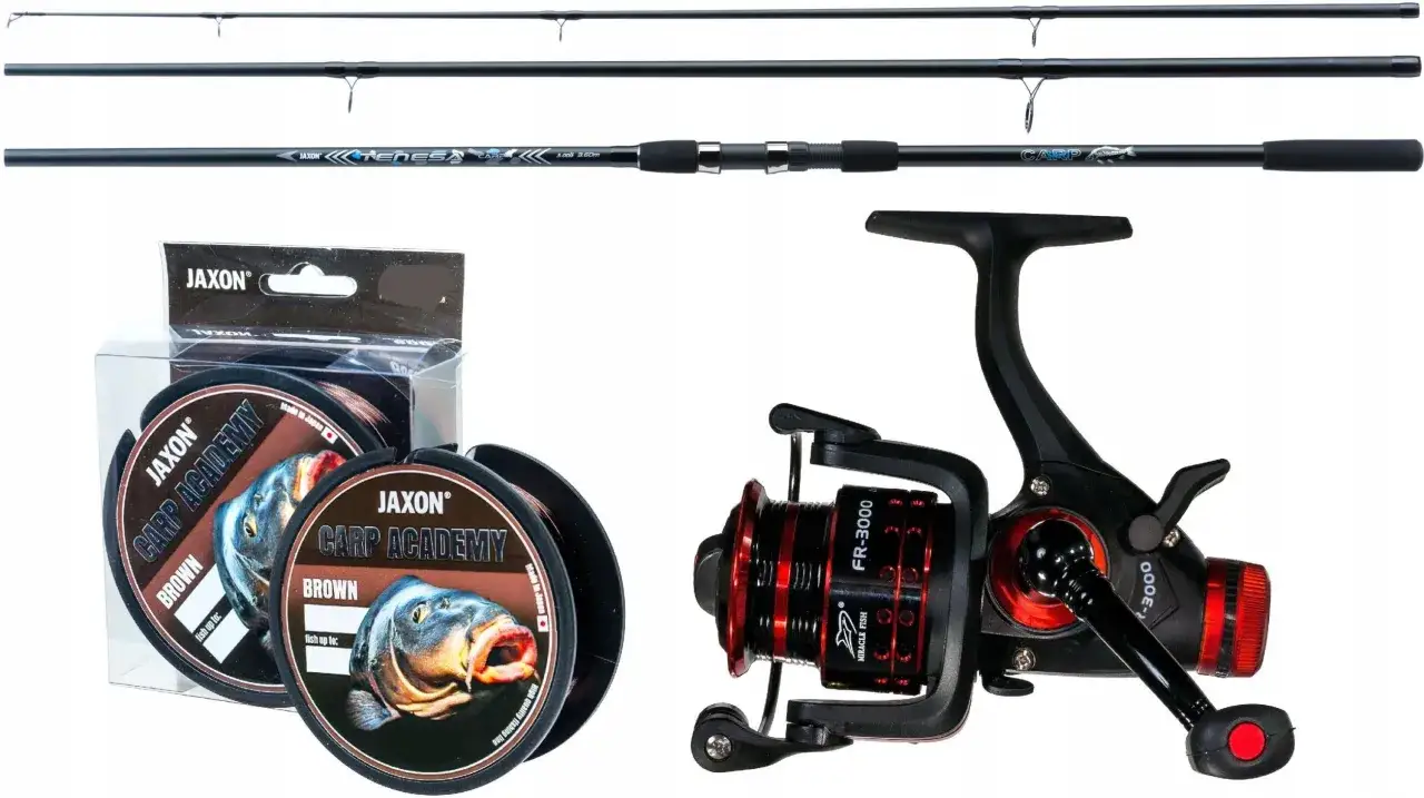 sprzęt na dzikiego karpia wędka kołowrotek