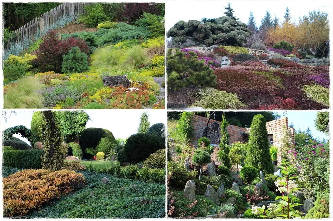 Skarpa w ogrodzie inspiracje: r&oacute;żnorodne rośliny, kamienie i formowane krzewy tworzą malownicze krajobrazy.