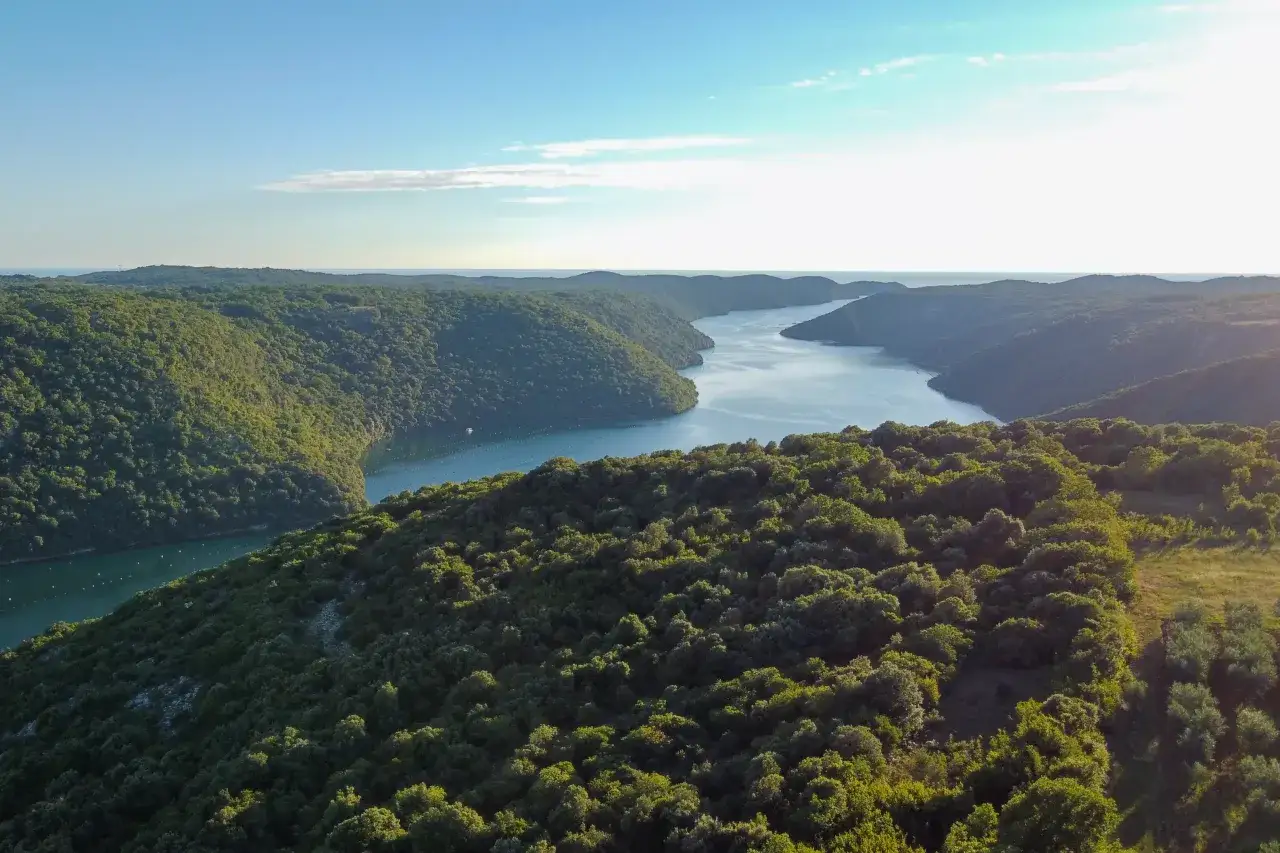 Malowniczy widok na zatokę w Chorwacji, Istrii. Zielone wzgórza porośnięte drzewami schodzą ku spokojnej wodzie, tworząc krajobraz idealny do odkrywania atrakcji.