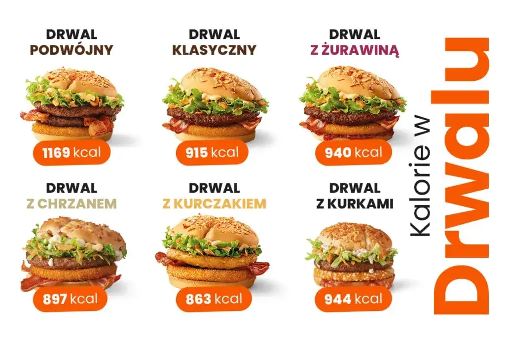r&oacute;żne rodzaje hamburger&oacute;w kalorie infografika