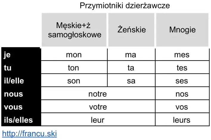 Francuskie przymiotniki dzierżawcze wyjątek samogłoska
