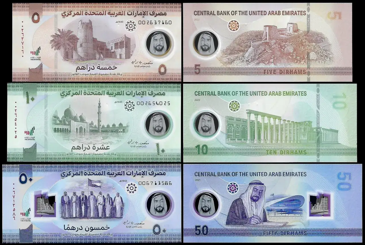 banknoty i monety dirham Zjednoczone Emiraty Arabskie