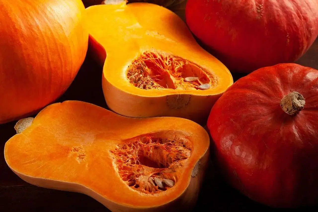 r&oacute;żne odmiany dyni do zupy hokkaido piżmowa muszkatołowa