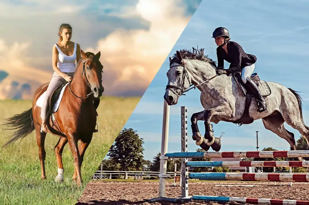 sport jeździecki jeździec i koń