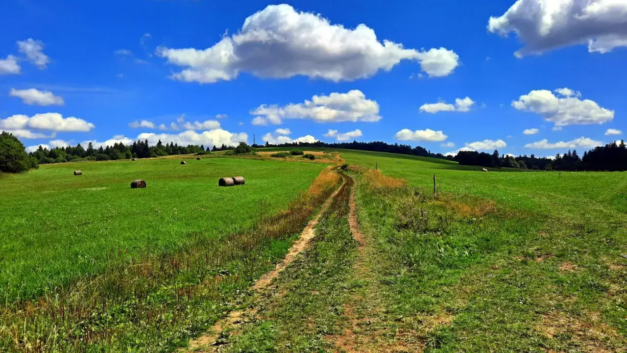 Droga wije się przez zielone łąki z balami siana, prowadząc ku wzgórzom. W oddali las, a nad wszystkim błękitne niebo z białymi chmurami. To widok z tokarnia szczyt.