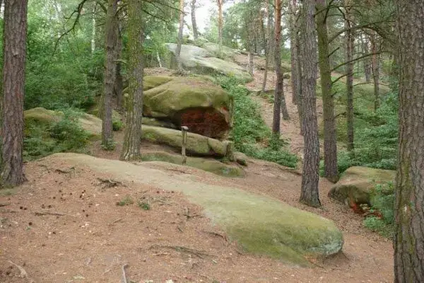 Zdjęcie Rezerwat przyrody Skamieniałe Miasto – historia, szlaki i ciekawostki przyrodnicze