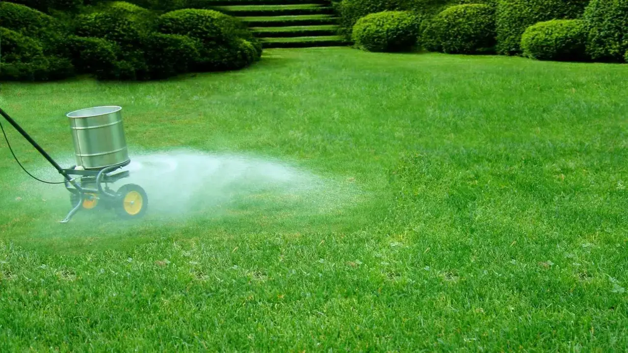 W&oacute;zek rozsypuje naw&oacute;z na trawniku. To dobry moment, kiedy sypać wapno na działkę, by zadbać o piękny ogr&oacute;d.
