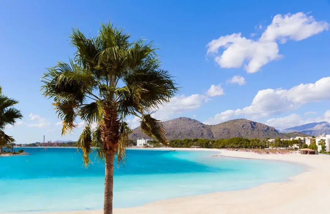 Majorka plaża rodzinna Alcudia
