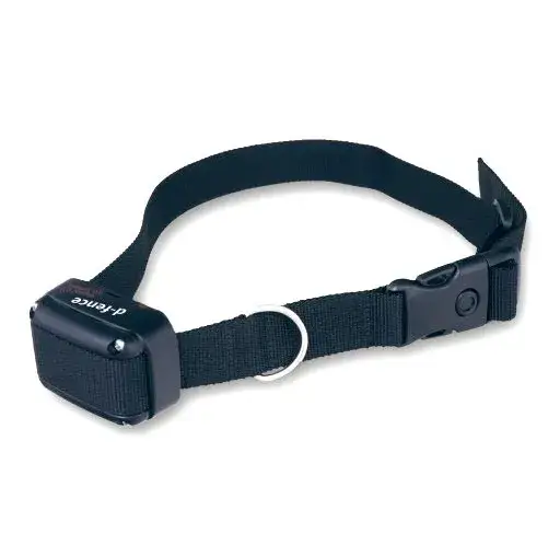 Zdjęcie Gdzie kupić obrożę Preventic dla psa? Sprawdzone opcje online