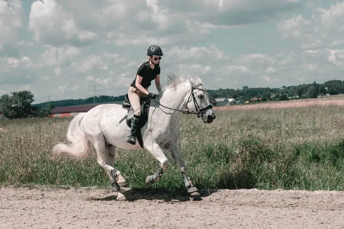 Dziewczyna w kasku i bryczesach galopuje na siwym koniu. W tle pole i chmury.