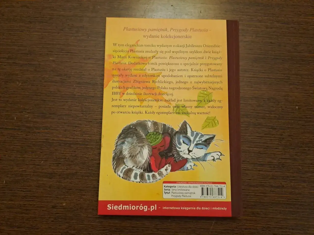 Kotek śpi na książce 