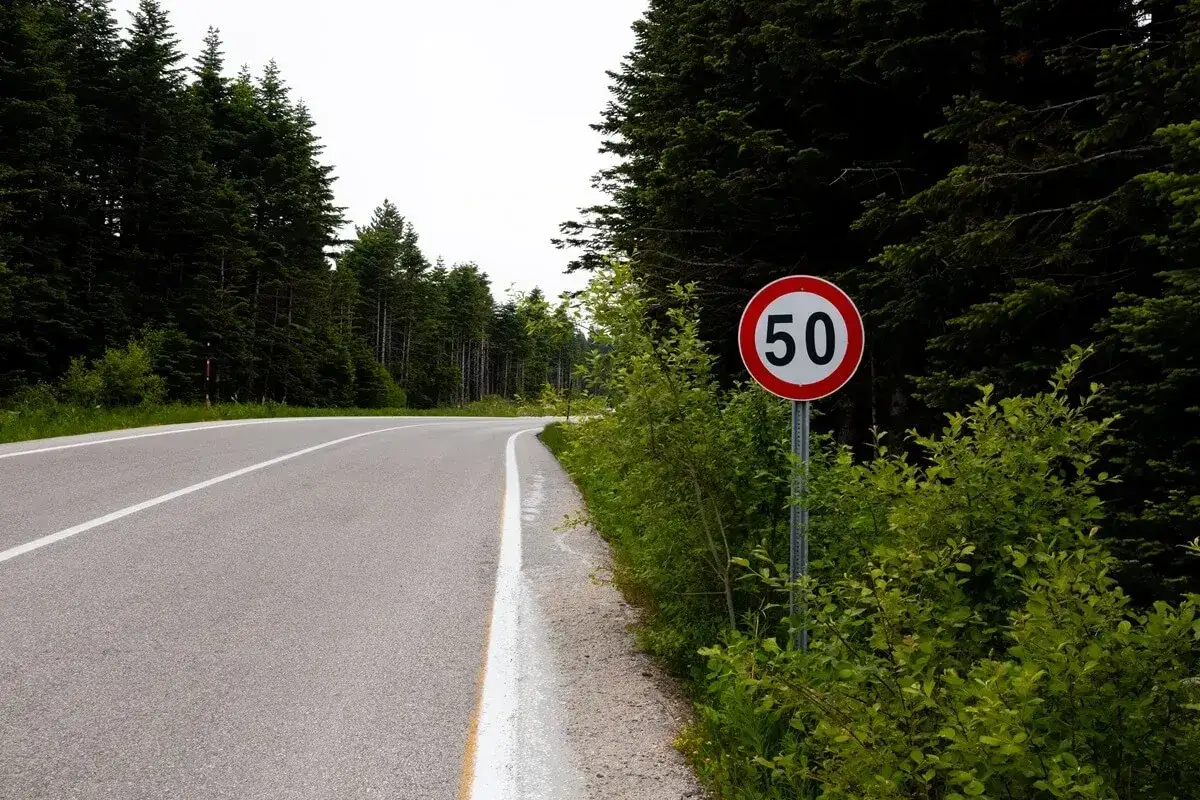 Znak ograniczenia prędkości 50 km/h na drodze przez las. To informacja, ile można jechać w terenie niezabudowanym.