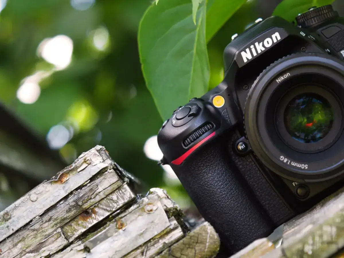 Nikon D7500 test w plenerze. Aparat z obiektywem 50mm 1.8 na tle zieleni i starego drewna.