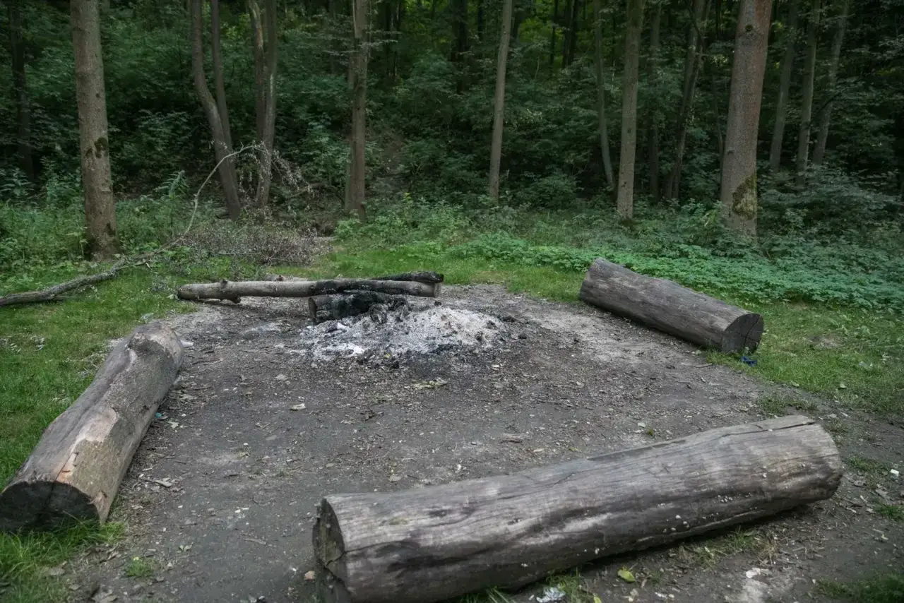 Miejsce w lesie, gdzie na grilla. Okrąg z bali, ognisko z popiołem i drewnem.