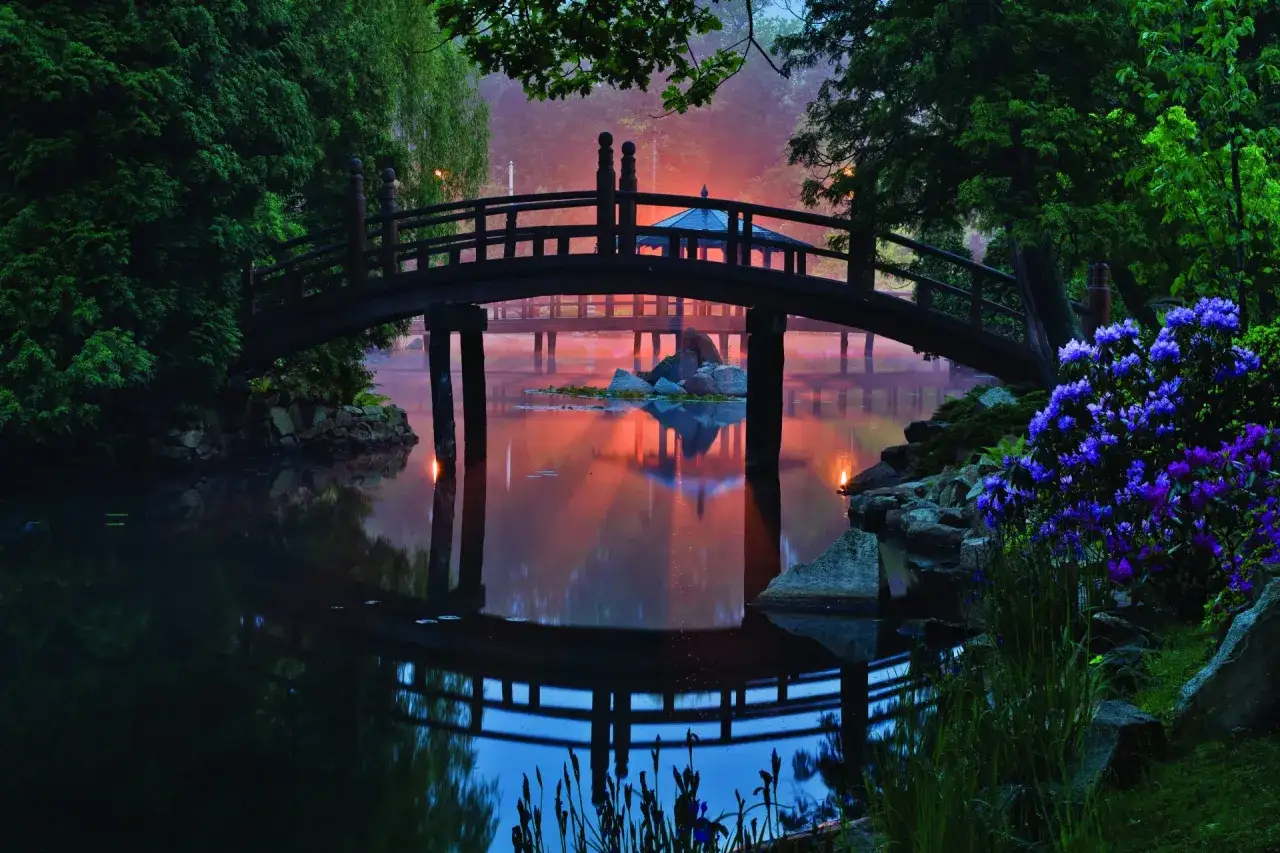 Most scenic time to visit Ogr&oacute;d Japoński Wrocław? This misty morning view with a wooden bridge, purple flowers, and reflections suggests spring or early summer.