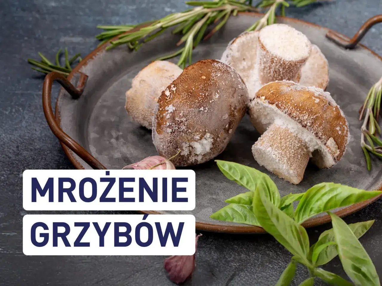 Mrożenie grzybów: jak przygotować je do zamrożenia, by cieszyć się ich smakiem przez cały rok. Na tacy leżą mrożone grzyby, gałązki rozmarynu i liście bazylii.