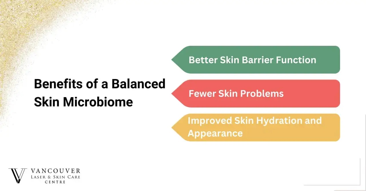 Zr&oacute;wnoważony mikrobiom sk&oacute;ry to klucz do lepszej bariery ochronnej, mniej problem&oacute;w sk&oacute;rnych i nawilżenia.