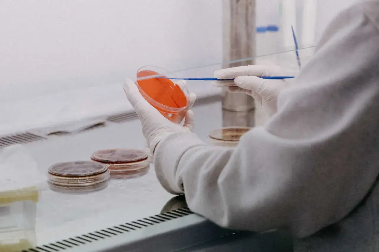 Zdjęcie Jak zrobić badania sanitarno-epidemiologiczne i uniknąć problemów zdrowotnych