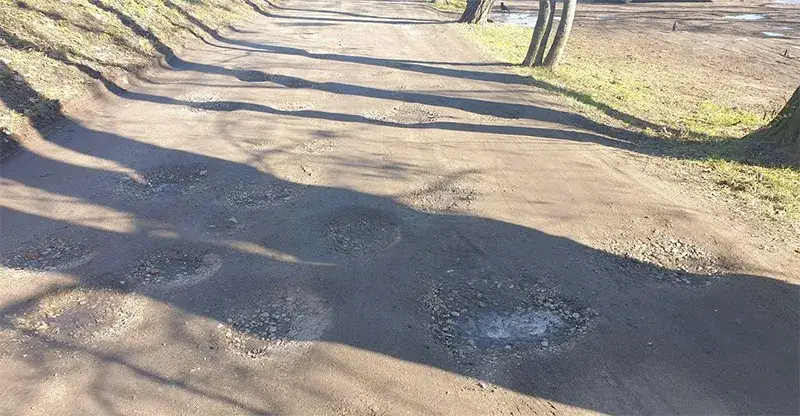 Zdjęcie Jak grochem o ścianę – co naprawdę oznacza to wyrażenie?