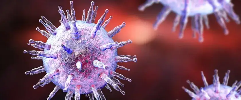 Zdjęcie Wirus Epsteina-Barr - objawy i metody leczenia zakażenia