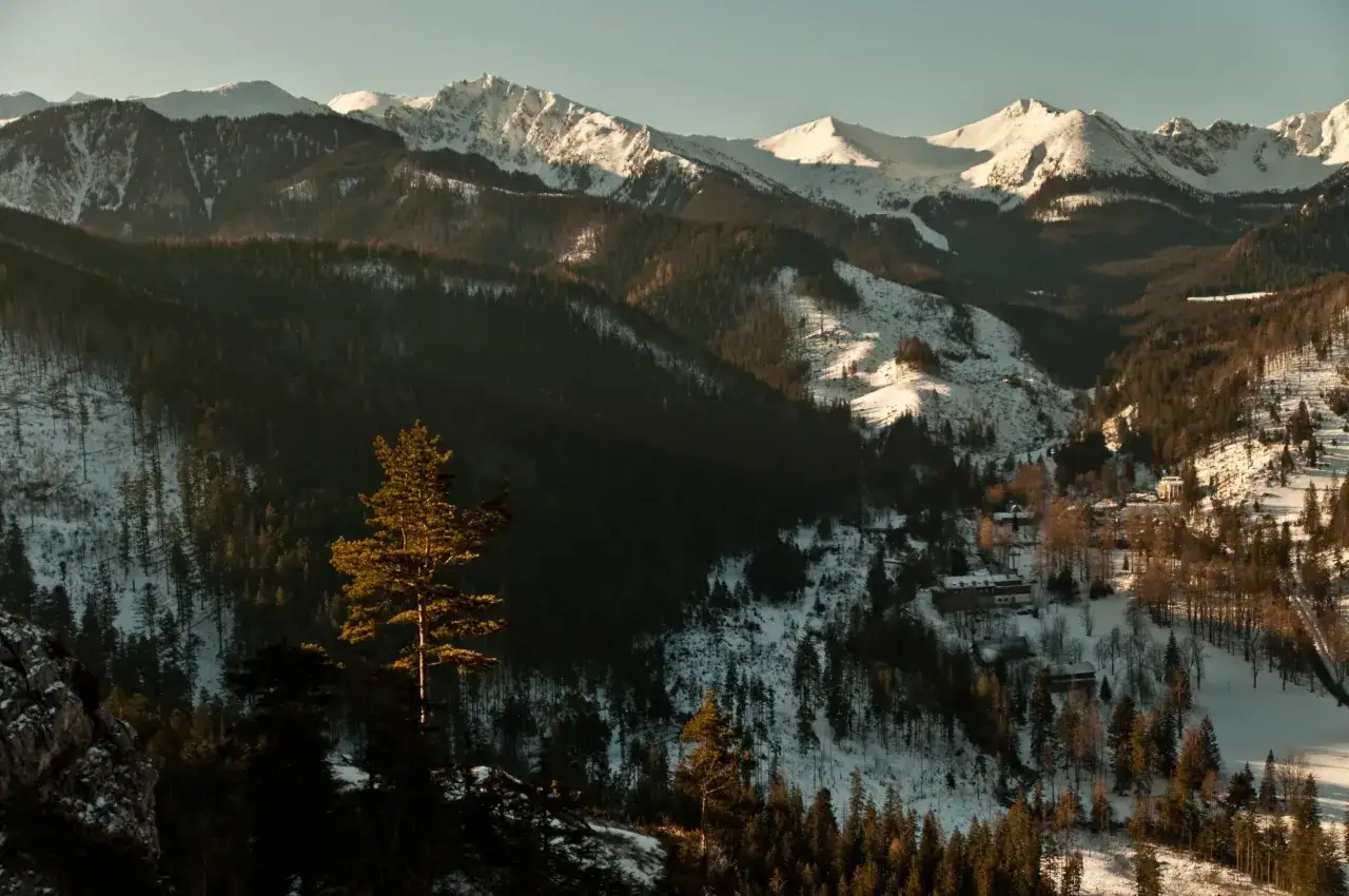 Zdjęcie Trasa Goryczkowa: Czy to najpiękniejszy szlak w polskich Tatrach?