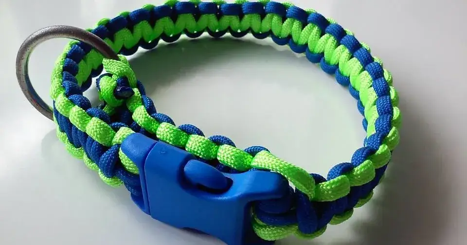 Zdjęcie Jak zrobić obrożę dla psa ze sznurka – proste kroki i materiały
