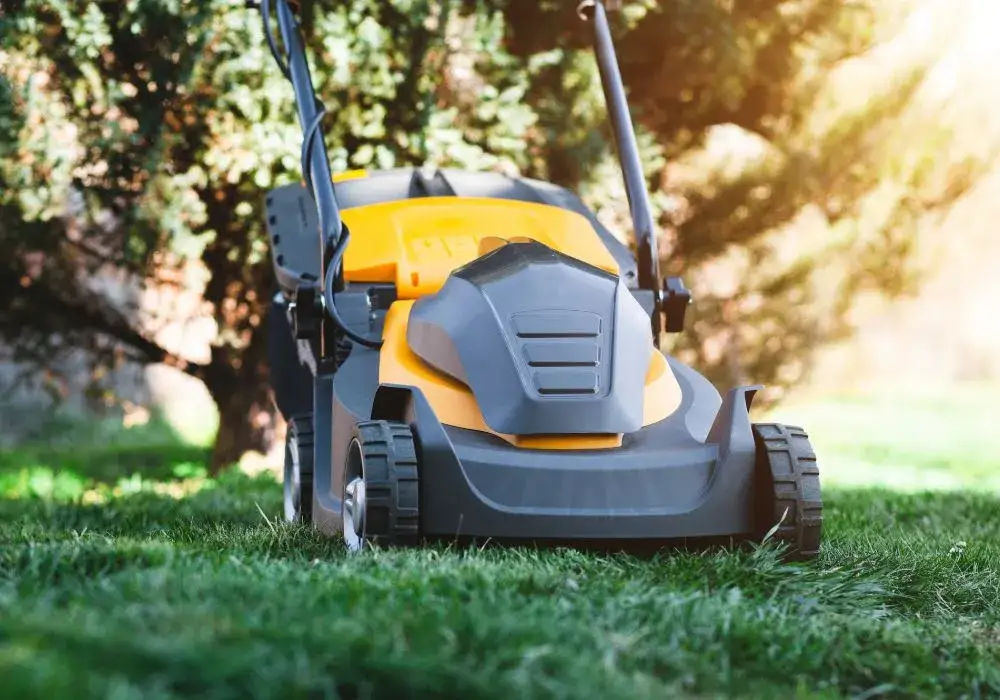 Zdjęcie Kosiarka spalinowa czy akumulatorowa - która lepsza dla Twojego ogrodu?