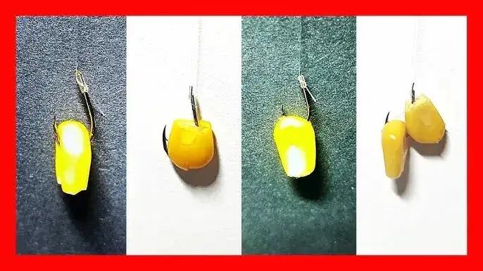 zakładanie kukurydzy na haczyk i włos