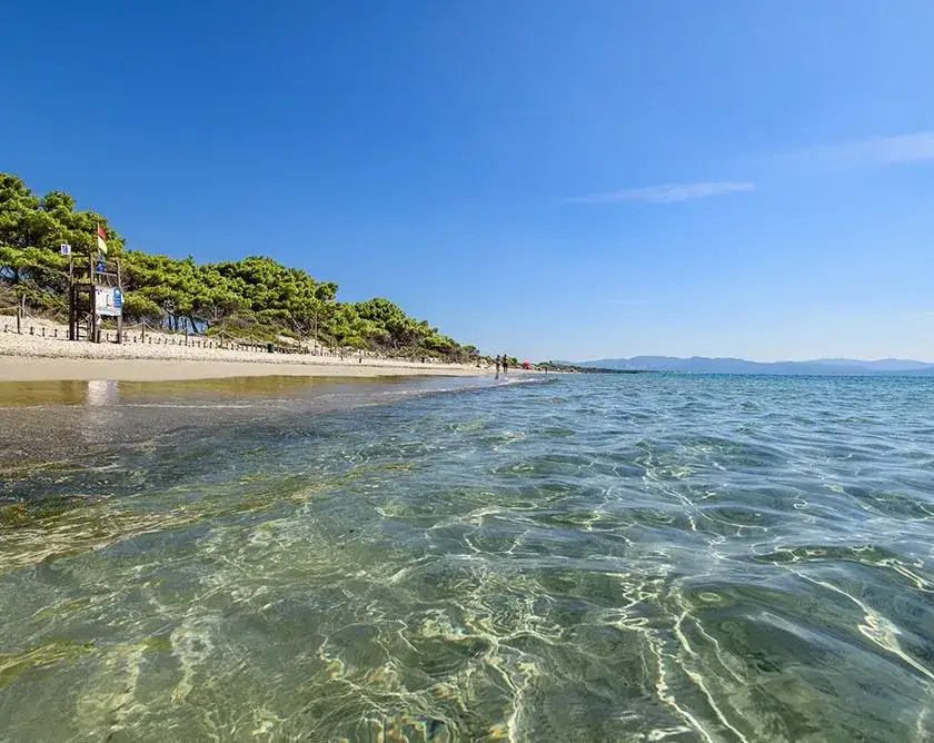Costa degli Etruschi pineta mare