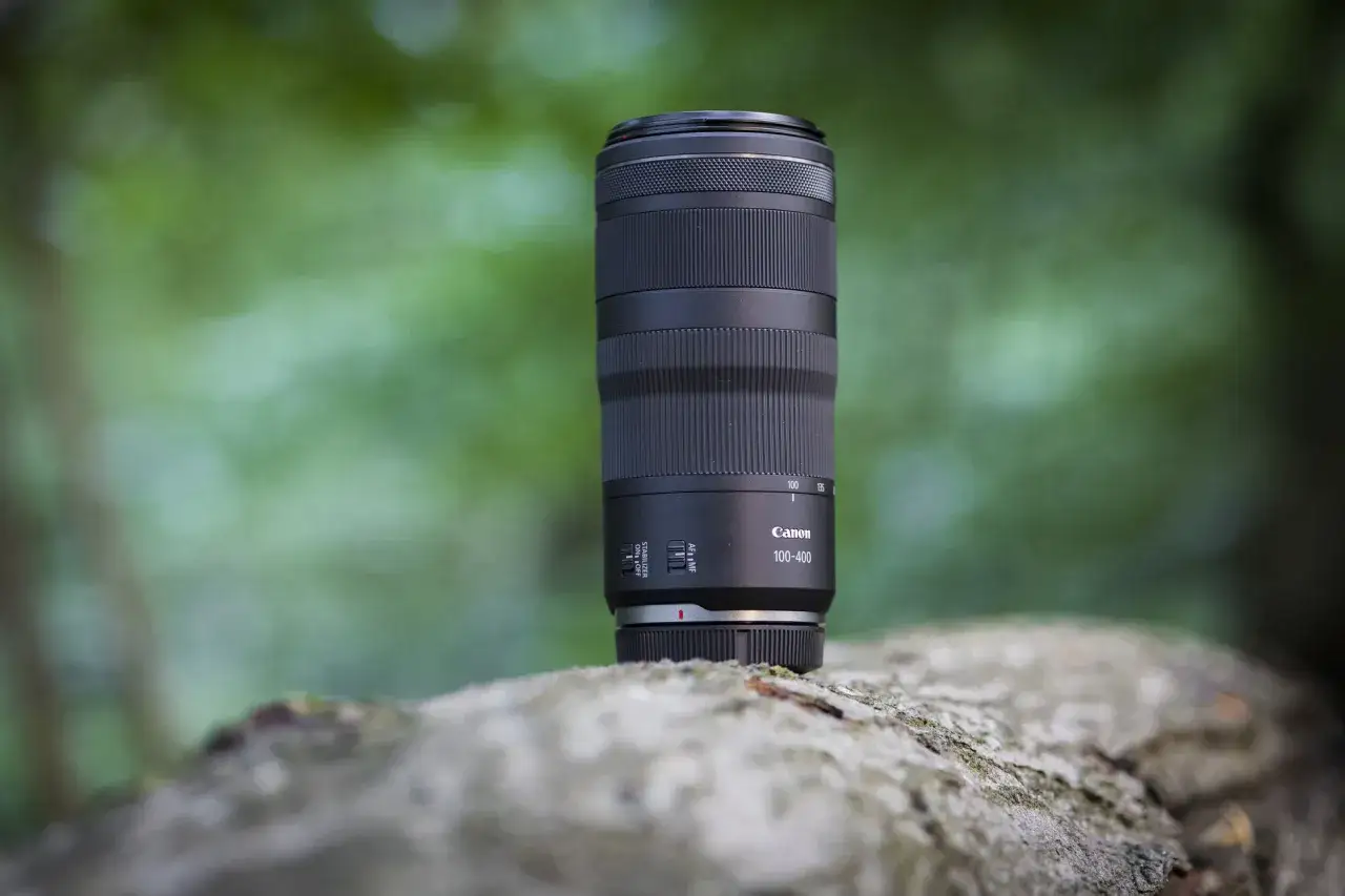 Obiektyw Canon 100-400 na pniu drzewa, gotowy do uchwycenia dzikiej przyrody.
