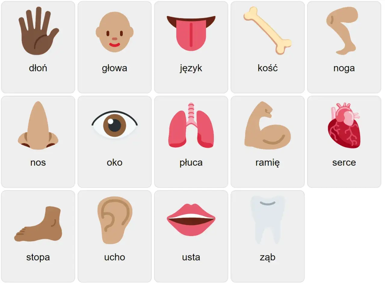 Ilustracje przedstawiające części ciała po angielsku: dłoń, głowa, język, kość, noga, nos, oko, płuca, ramię, serce, stopa, ucho, usta, ząb.