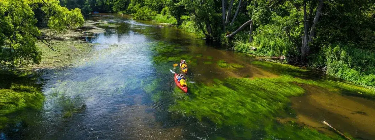 Spływ kajakowy Brdą Bory Tucholskie