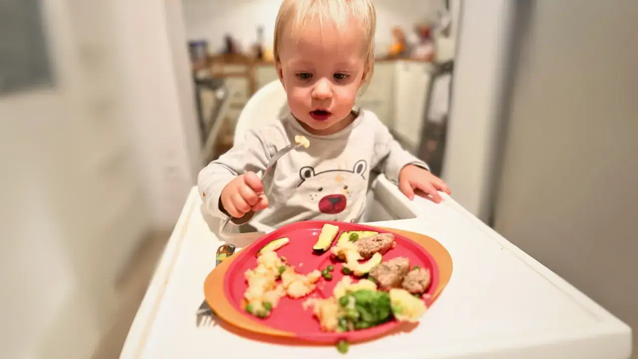 Małe dziecko uczy się jeść samodzielnie. Na talerzu ma obiadki dla 6 miesięcznego dziecka: puree ziemniaczane z groszkiem, brokuły i klopsiki.