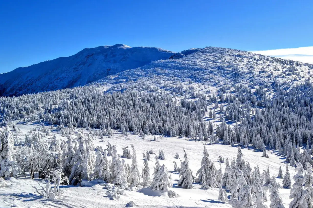 Zimowy krajobraz Babiej G&oacute;ry, pokrytej śniegiem i szronem. Kt&oacute;ry szlak na Babią G&oacute;rę najładniejszy? Ten widok zapiera dech!