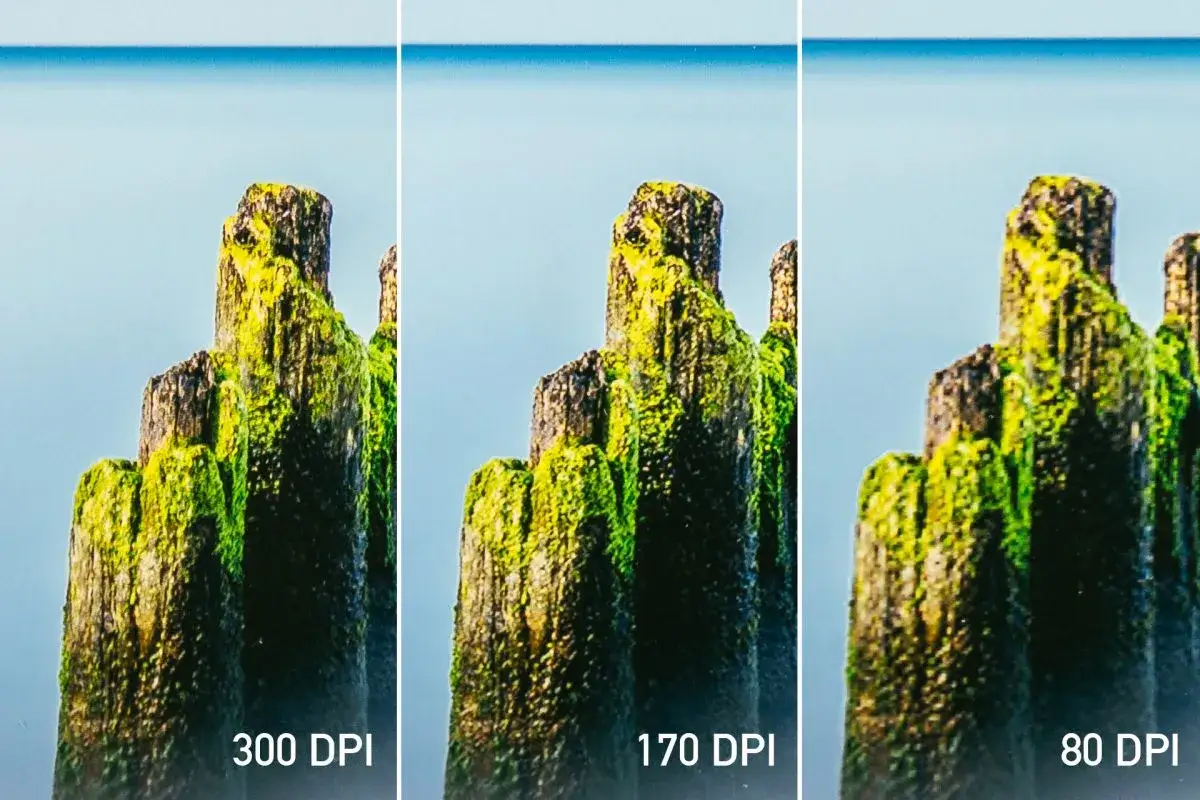 Trzy panele pokazują drewniane pale pokryte mchem przy r&oacute;żnej rozdzielczości: 300 DPI, 170 DPI i 80 DPI. Wyjaśnienie, co to DPI, widać na przykładzie jakości obrazu.