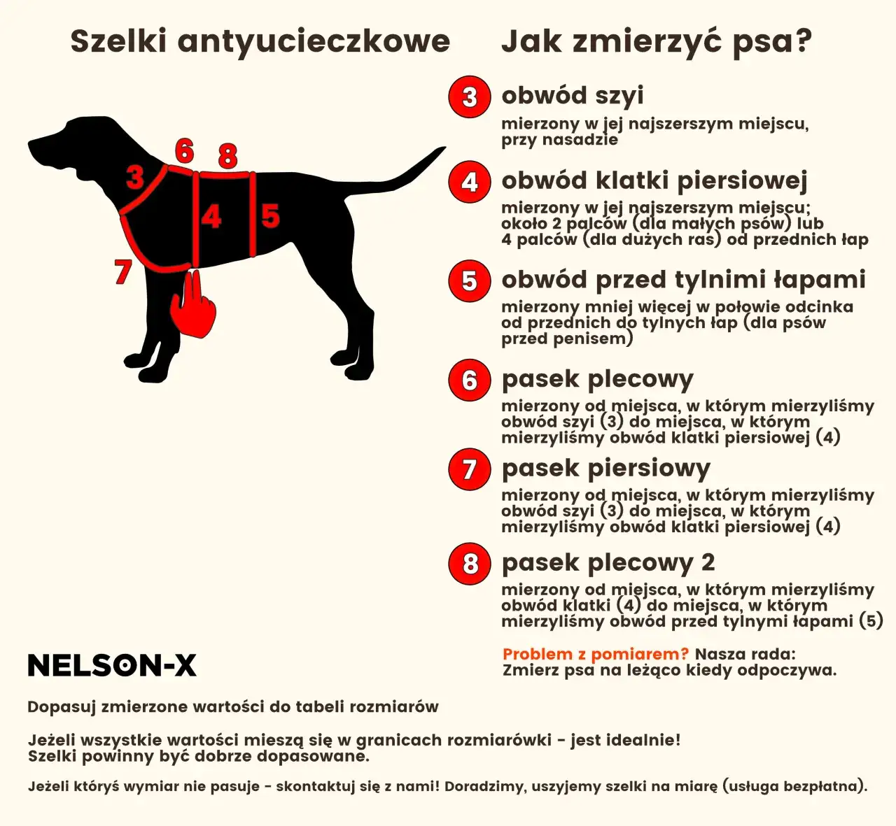 jak zmierzyć psa do szelek