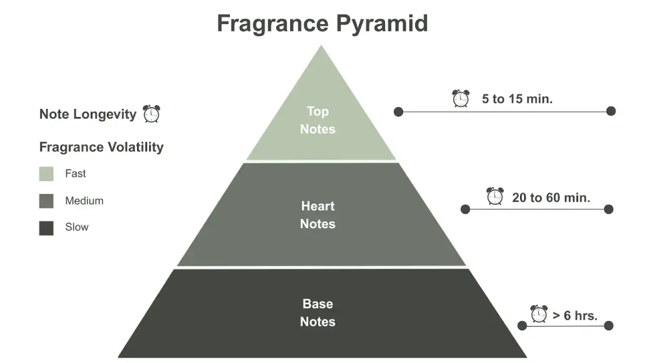 Piramide zapachowa: nuty głowy (szybkie, 5-15 min), nuty serca (średnie, 20-60 min), nuty bazy (wolne, >6h).