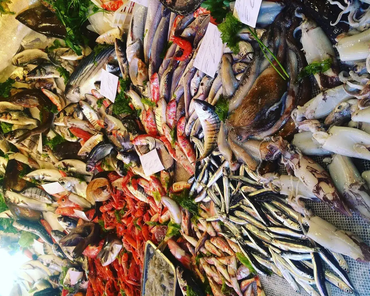 Katania jedzenie uliczne targ rybny