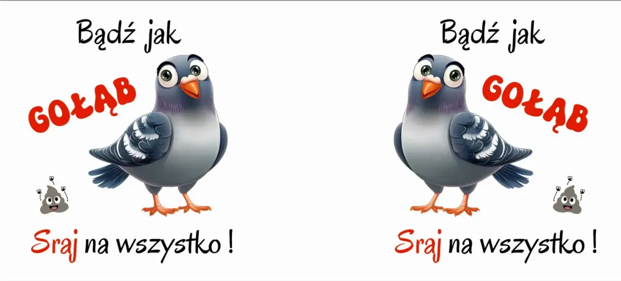 mem bądź jak gołąb