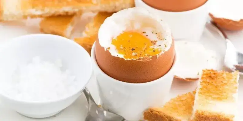 Źr&oacute;dła zakażenia salmonellą w kuchni